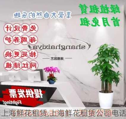 上海鲜花租赁,上海鲜花租赁公司电话-第3张图片-花卉百科