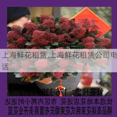 上海鲜花租赁,上海鲜花租赁公司电话