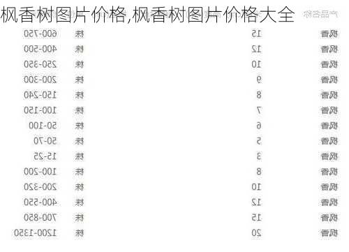 枫香树图片价格,枫香树图片价格大全-第2张图片-花卉百科