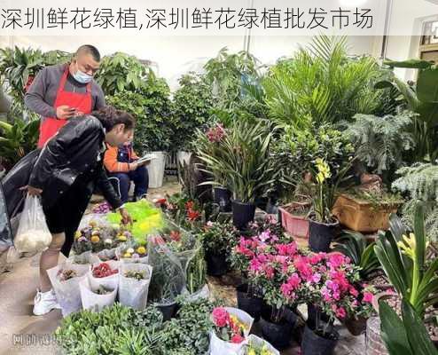 深圳鲜花绿植,深圳鲜花绿植批发市场