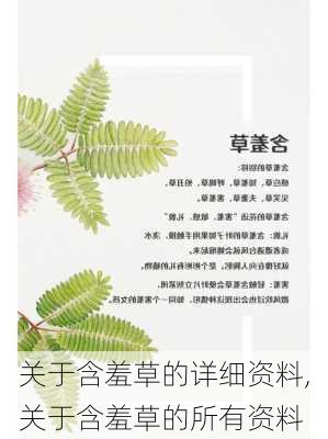 关于含羞草的详细资料,关于含羞草的所有资料-第2张图片-花卉百科