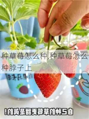 种草莓怎么种,种草莓怎么种脖子上