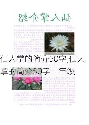 仙人掌的简介50字,仙人掌的简介50字一年级