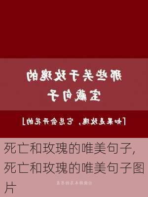 死亡和玫瑰的唯美句子,死亡和玫瑰的唯美句子图片