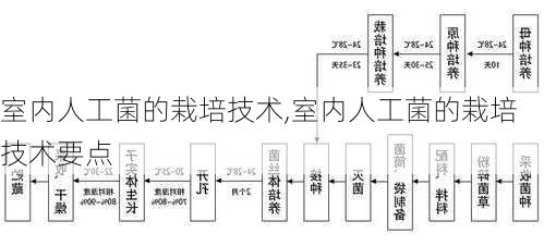 室内人工菌的栽培技术,室内人工菌的栽培技术要点