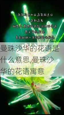 曼珠沙华的花语是什么意思,曼珠沙华的花语寓意-第3张图片-花卉百科