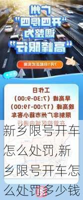 新乡限号开车怎么处罚,新乡限号开车怎么处罚多少钱-第1张图片-花卉百科