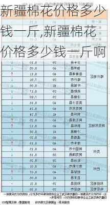 新疆棉花价格多少钱一斤,新疆棉花价格多少钱一斤啊