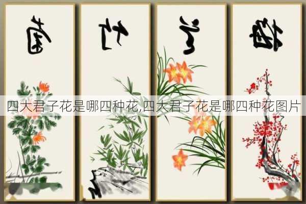 四大君子花是哪四种花,四大君子花是哪四种花图片-第2张图片-花卉百科