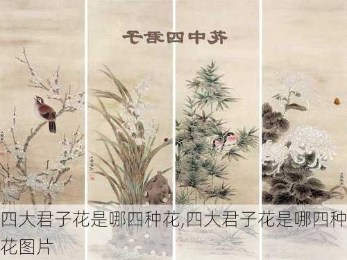 四大君子花是哪四种花,四大君子花是哪四种花图片-第3张图片-花卉百科