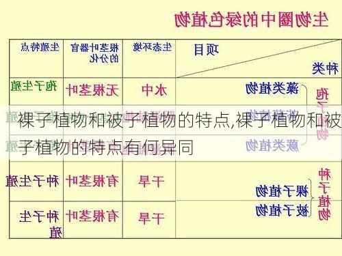 裸子植物和被子植物的特点,裸子植物和被子植物的特点有何异同-第3张图片-花卉百科