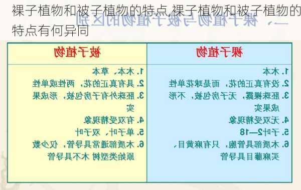 裸子植物和被子植物的特点,裸子植物和被子植物的特点有何异同