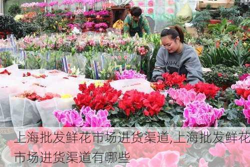 上海批发鲜花市场进货渠道,上海批发鲜花市场进货渠道有哪些