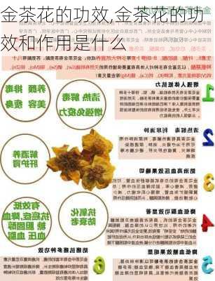 金茶花的功效,金茶花的功效和作用是什么-第3张图片-花卉百科