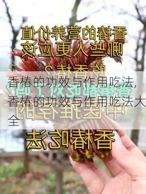 香椿的功效与作用吃法,香椿的功效与作用吃法大全-第3张图片-花卉百科