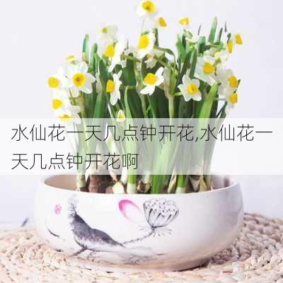 水仙花一天几点钟开花,水仙花一天几点钟开花啊-第2张图片-花卉百科