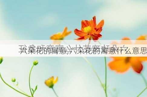 六朵花的寓意,六朵花的寓意什么意思-第1张图片-花卉百科