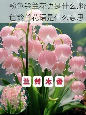 粉色铃兰花语是什么,粉色铃兰花语是什么意思-第3张图片-花卉百科