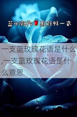 一支蓝玫瑰花语是什么,一支蓝玫瑰花语是什么意思-第3张图片-花卉百科