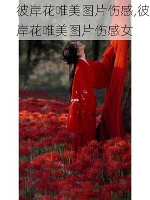 彼岸花唯美图片伤感,彼岸花唯美图片伤感女