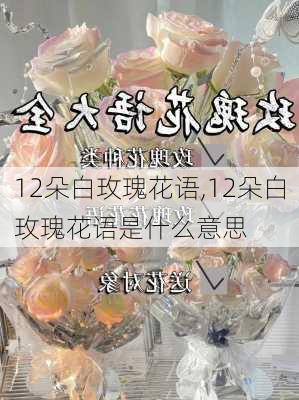 12朵白玫瑰花语,12朵白玫瑰花语是什么意思