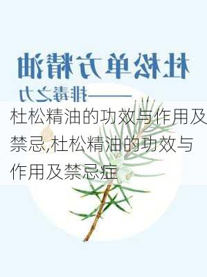 杜松精油的功效与作用及禁忌,杜松精油的功效与作用及禁忌症