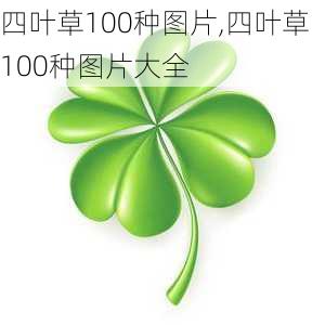 四叶草100种图片,四叶草100种图片大全