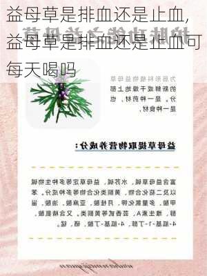 益母草是排血还是止血,益母草是排血还是止血可每天喝吗