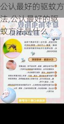 公认最好的驱蚊方法,公认最好的驱蚊方法是什么