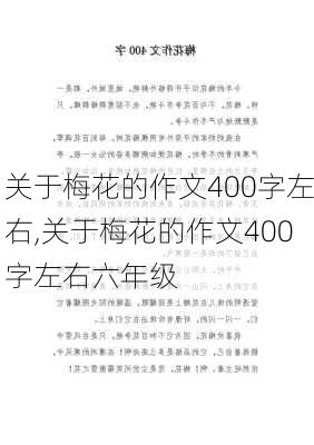 关于梅花的作文400字左右,关于梅花的作文400字左右六年级