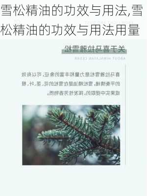 雪松精油的功效与用法,雪松精油的功效与用法用量-第3张图片-花卉百科