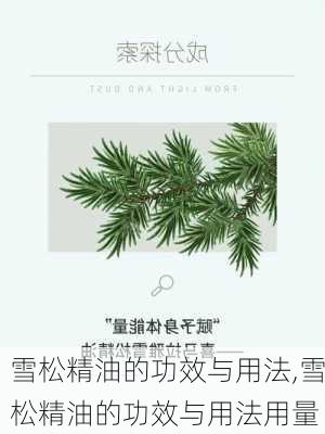 雪松精油的功效与用法,雪松精油的功效与用法用量-第1张图片-花卉百科