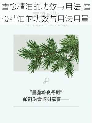 雪松精油的功效与用法,雪松精油的功效与用法用量-第2张图片-花卉百科