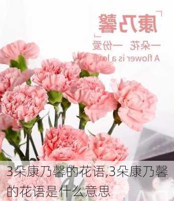 3朵康乃馨的花语,3朵康乃馨的花语是什么意思