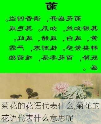 菊花的花语代表什么,菊花的花语代表什么意思呢