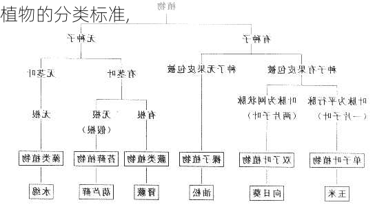 植物的分类标准,