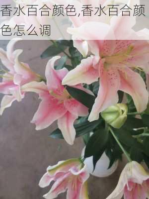 香水百合颜色,香水百合颜色怎么调-第3张图片-花卉百科