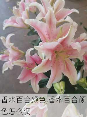 香水百合颜色,香水百合颜色怎么调-第2张图片-花卉百科