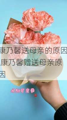 康乃馨送母亲的原因,康乃馨赠送母亲原因-第1张图片-花卉百科