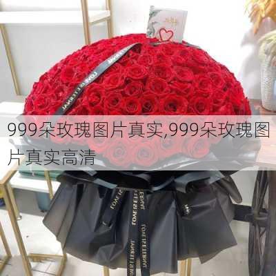 999朵玫瑰图片真实,999朵玫瑰图片真实高清-第1张图片-花卉百科