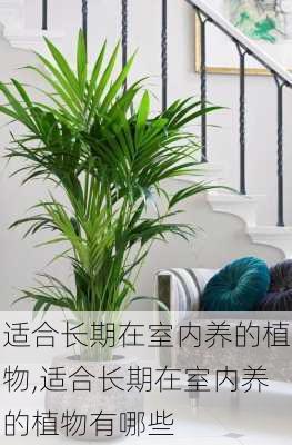 适合长期在室内养的植物,适合长期在室内养的植物有哪些-第3张图片-花卉百科