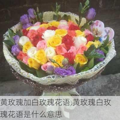 黄玫瑰加白玫瑰花语,黄玫瑰白玫瑰花语是什么意思