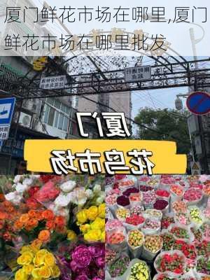 厦门鲜花市场在哪里,厦门鲜花市场在哪里批发