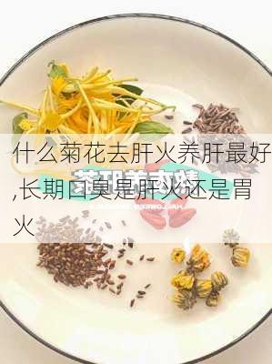 什么菊花去肝火养肝最好,长期口臭是肝火还是胃火