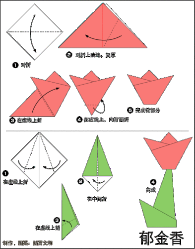 郁金香做法折纸,郁金香做法折纸教程