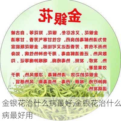 金银花治什么病最好,金银花治什么病最好用