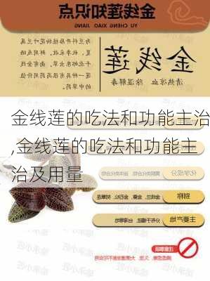 金线莲的吃法和功能主治,金线莲的吃法和功能主治及用量-第1张图片-花卉百科