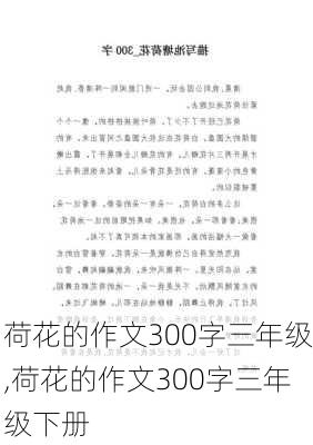 荷花的作文300字三年级,荷花的作文300字三年级下册