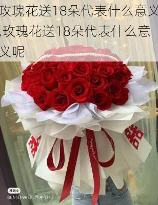 玫瑰花送18朵代表什么意义,玫瑰花送18朵代表什么意义呢-第2张图片-花卉百科