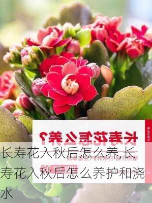 长寿花入秋后怎么养,长寿花入秋后怎么养护和浇水-第3张图片-花卉百科